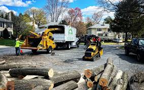 Best Grass Overseeding  in Clarkston, WA