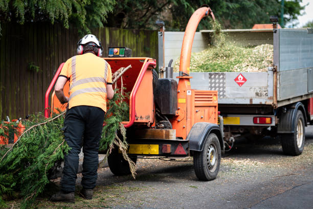 Best Lawn Mowing  in Clarkston, WA